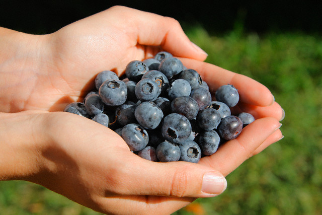 hemorrhoid diet hemorrhoid diet