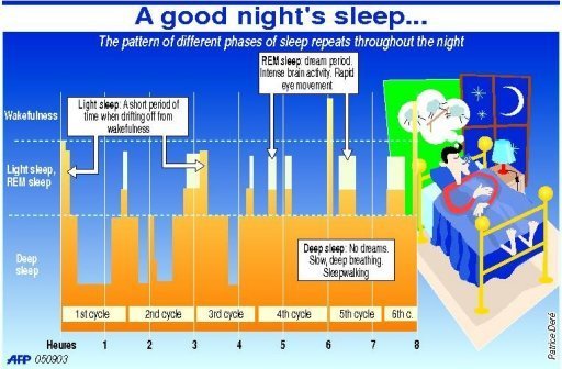 Sleep Cycle